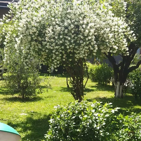 Hotel Fattoria Stocchi 4*