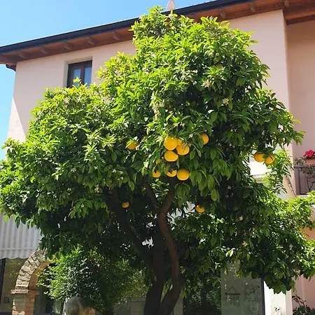 Hotel Fattoria Stocchi